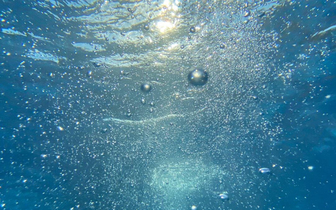 CRTP WWWT100: Water and Wastewater Level 1 Primer (Online Course)