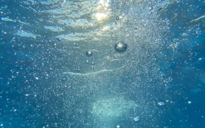 WWWT203: Support Systems for Water Wastewater